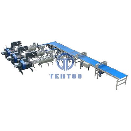 خط التغليف الأوتوماتيكي